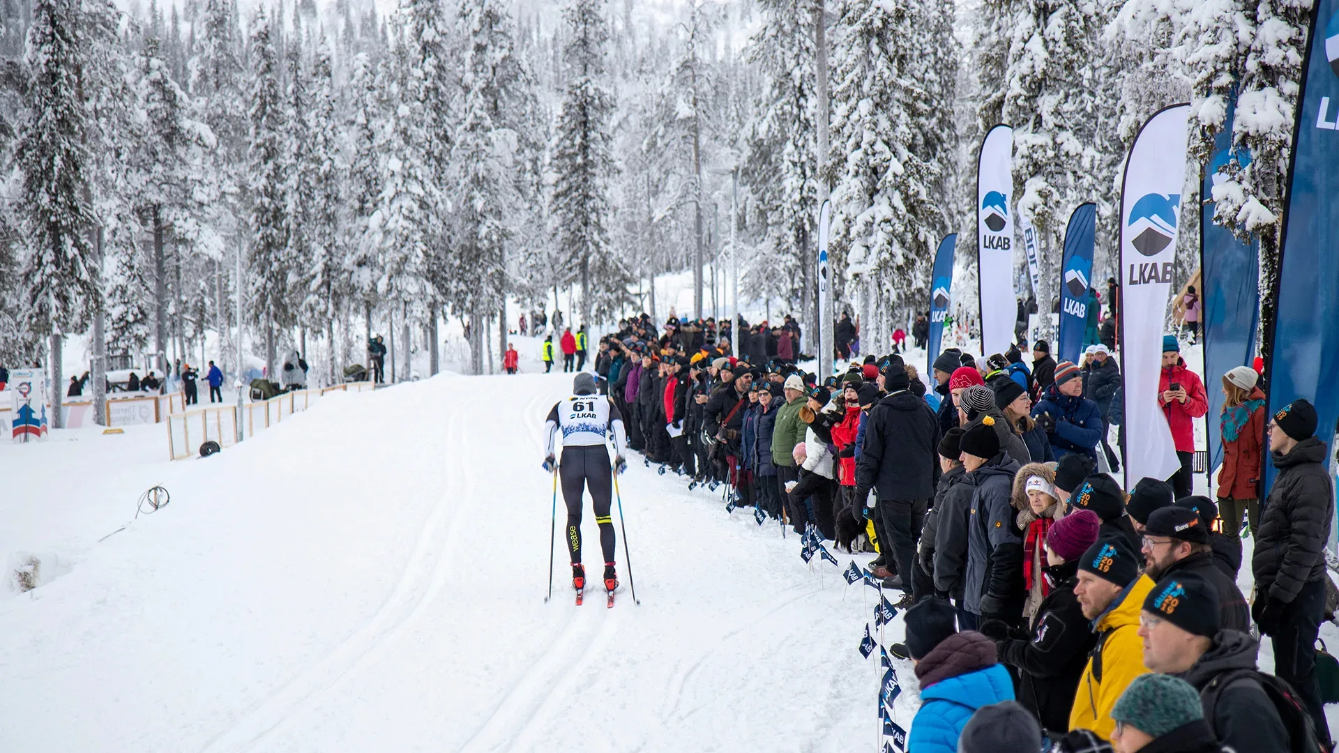 Skidåkare framför publik