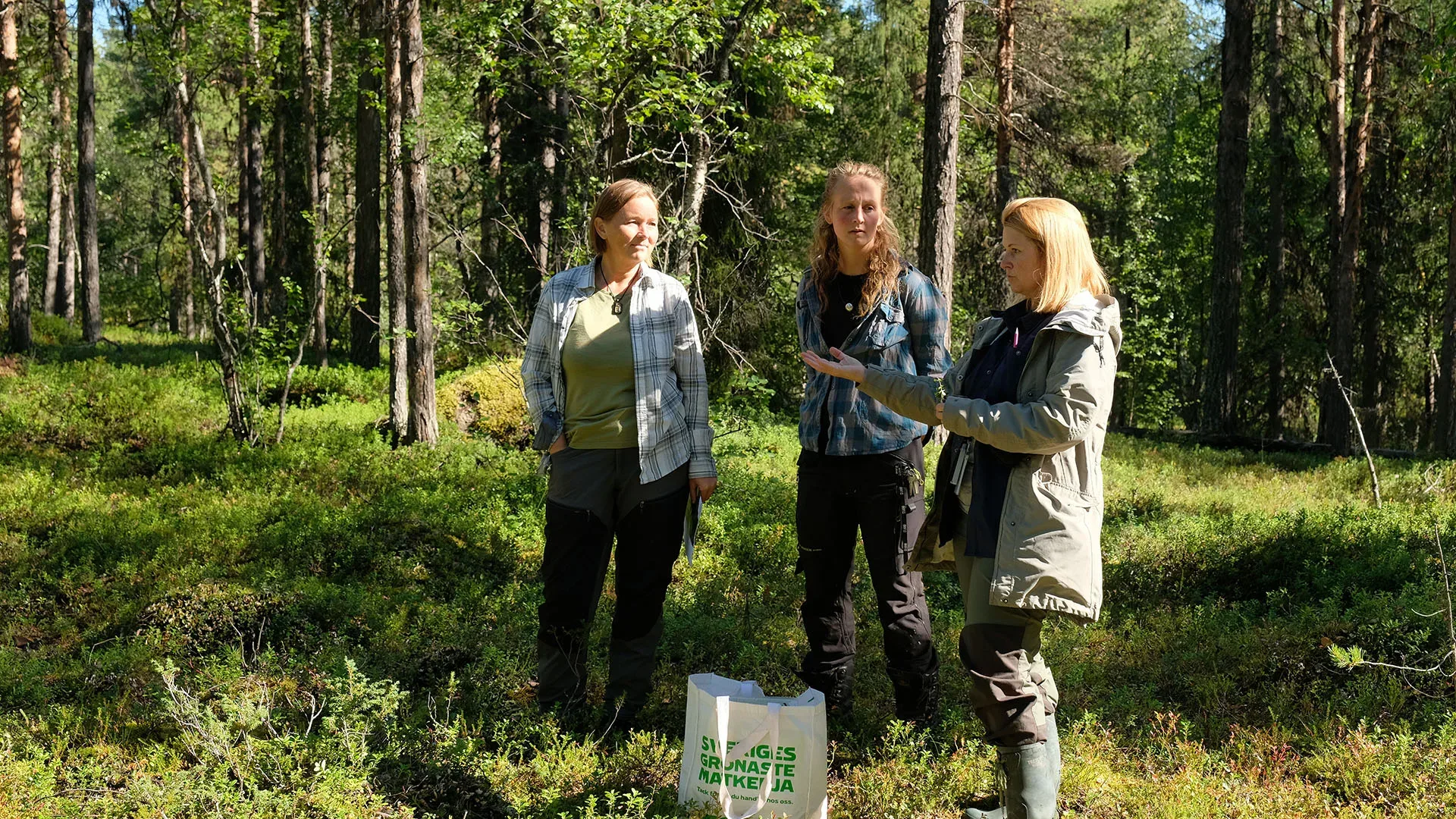 Tre personer samtalar i skogsmiljö.