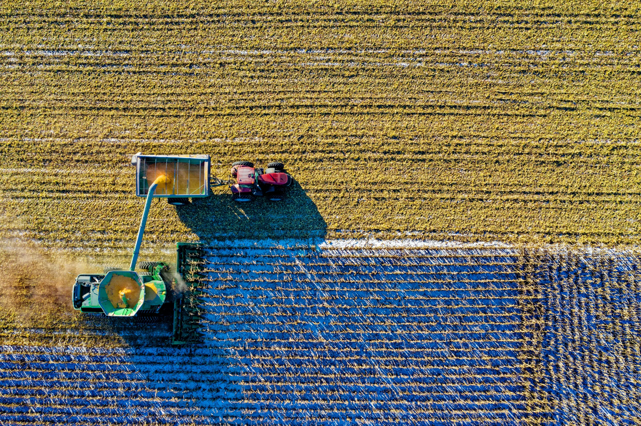 Farming tractor in field